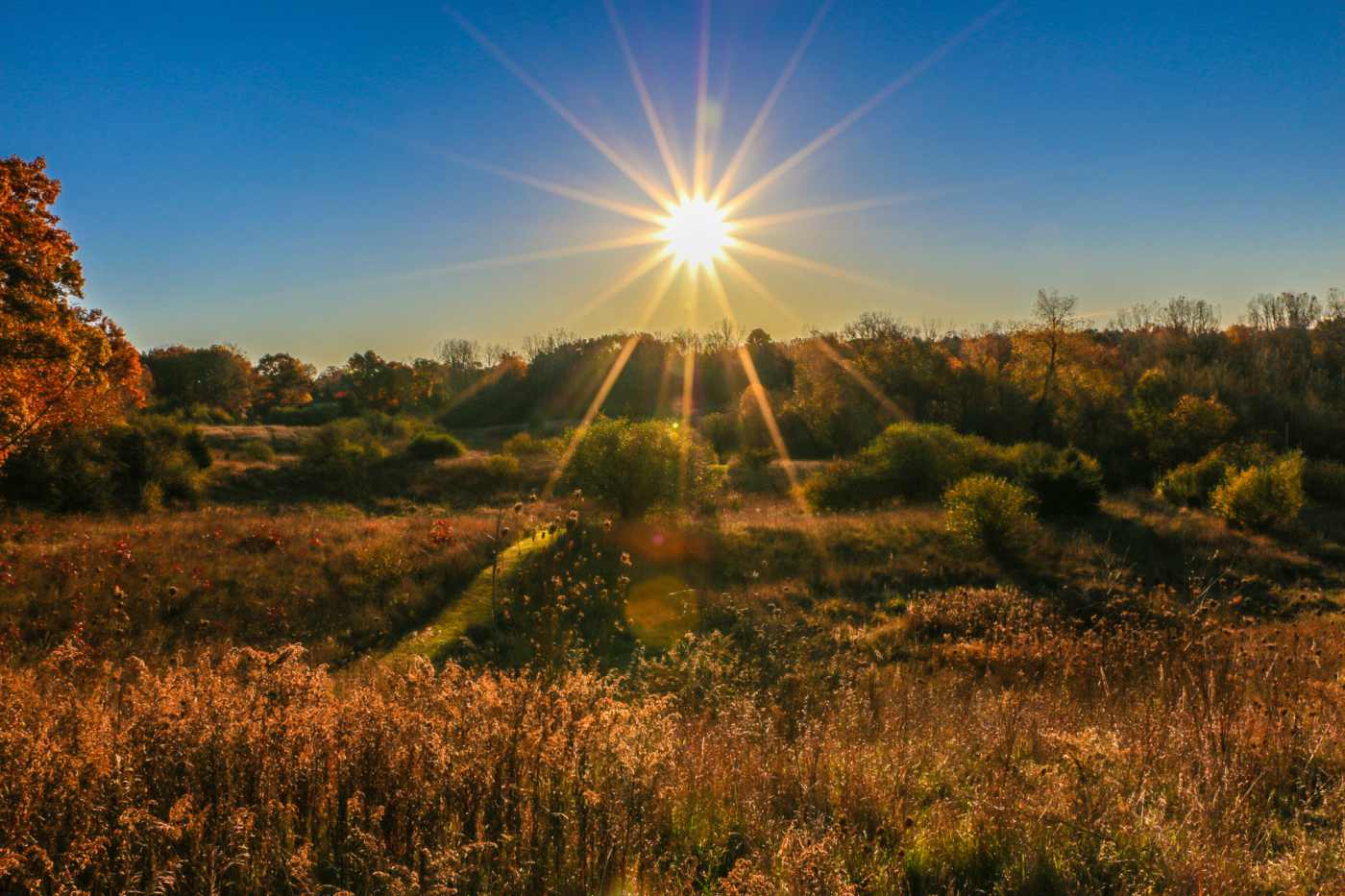 sun