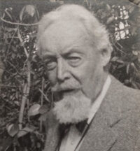 Wei Wu Wei